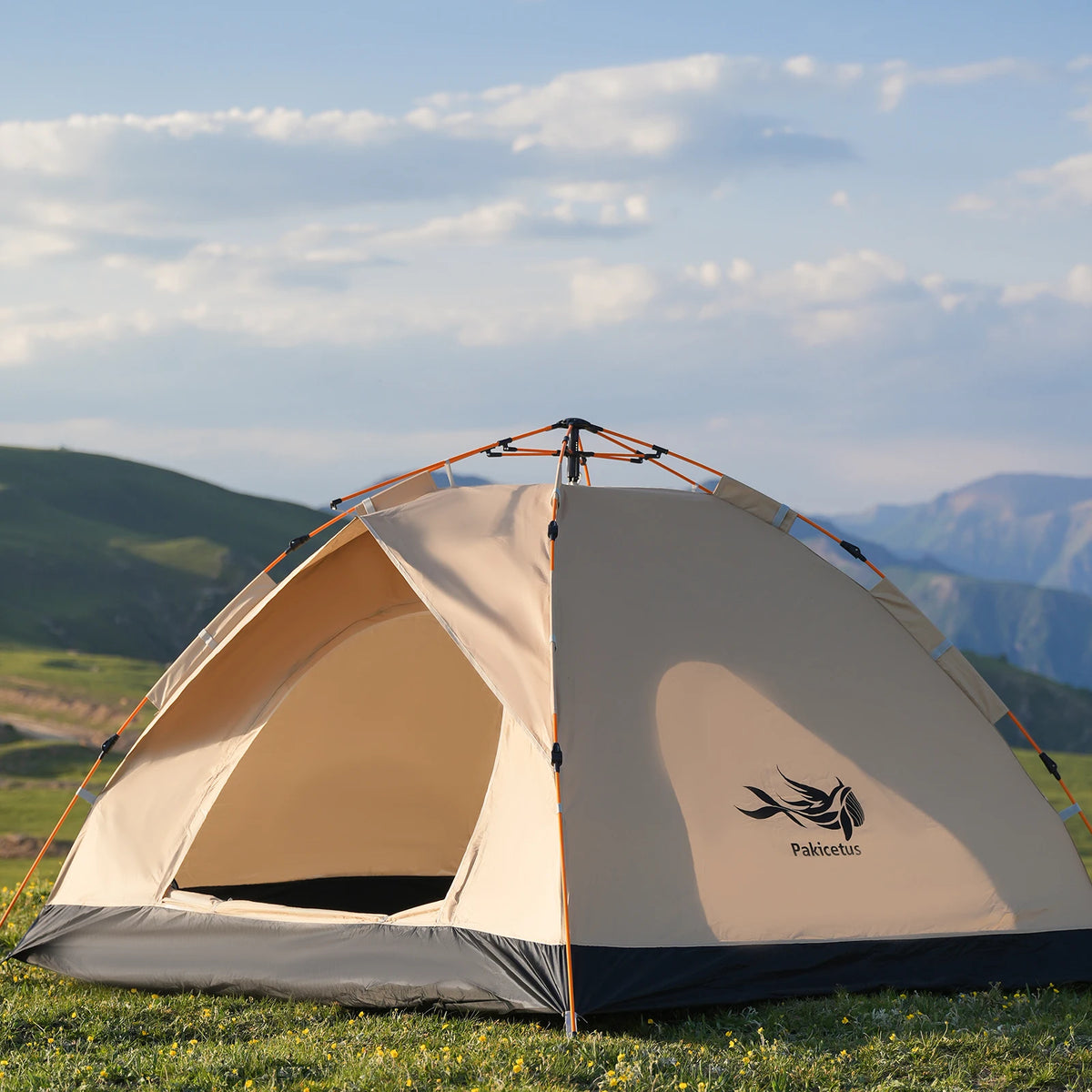 Pakicetus Instant Pop Up Camping Tent With Easy Setup